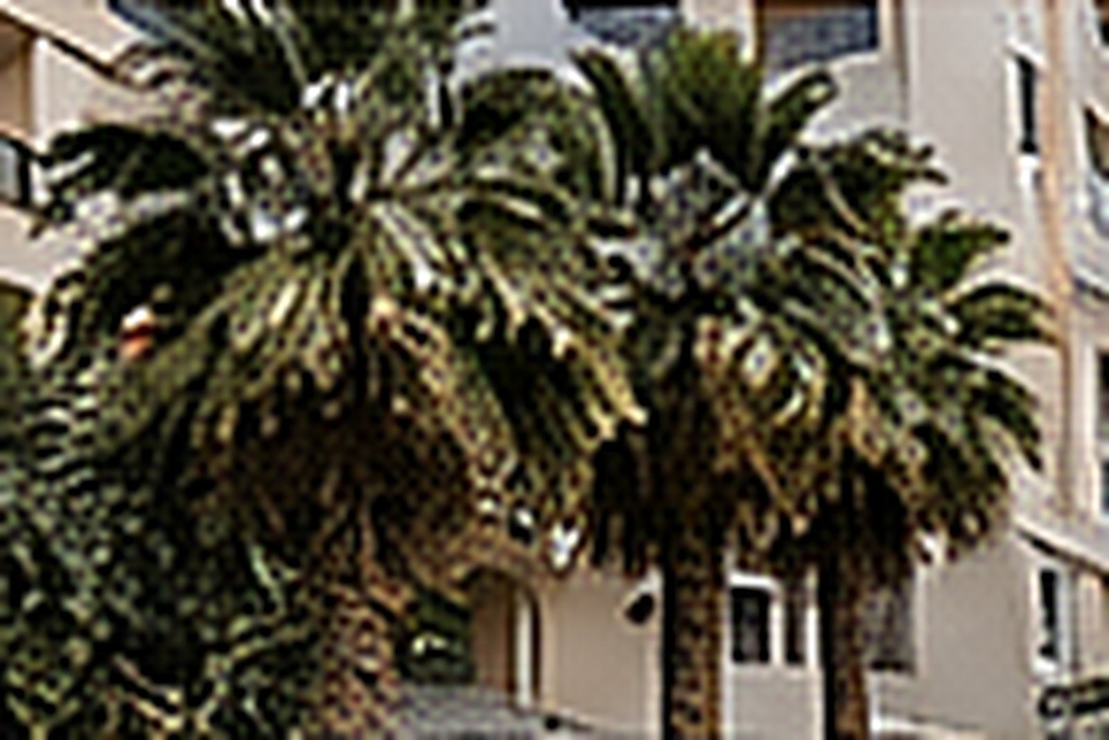 Arkitektura e Vlores